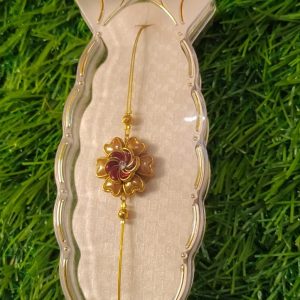 Invisible chain Rakhi to India